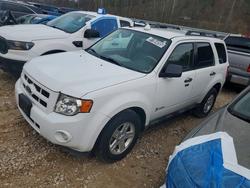 2011 Ford Escape Hybrid for sale in Hurricane, WV