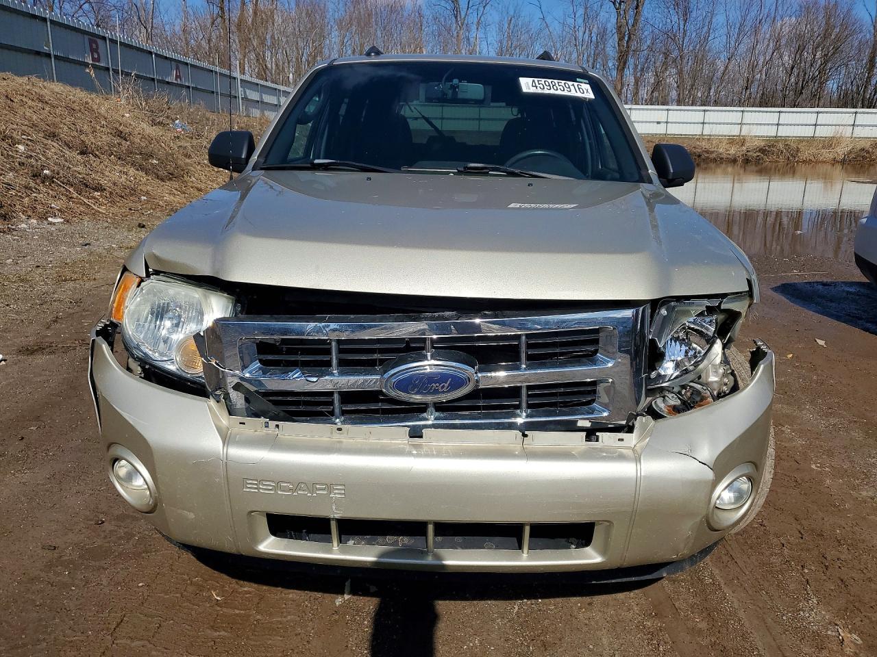 2010 Ford Escape xlt