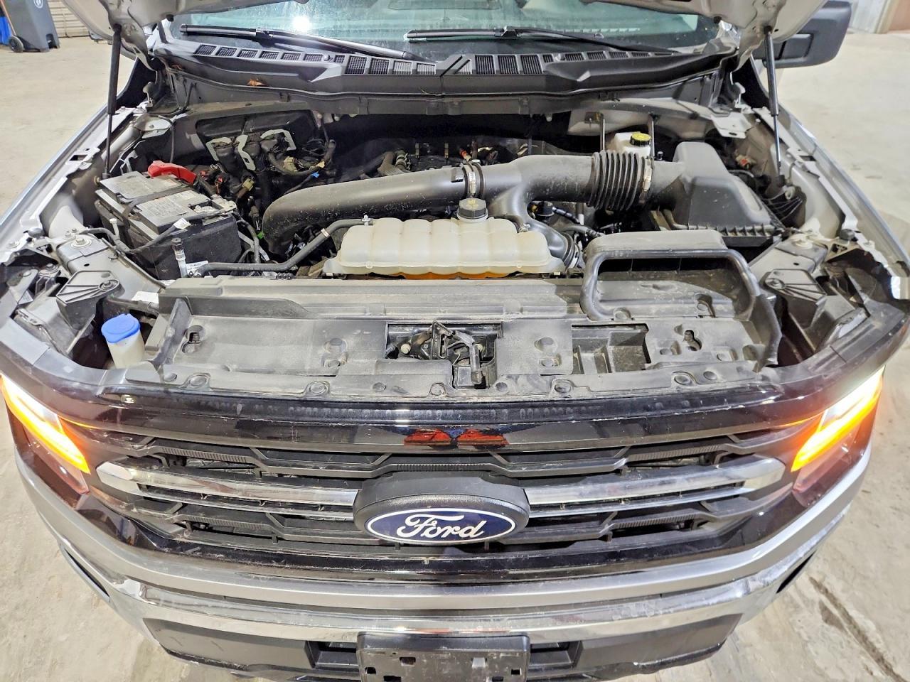 2025 Ford F150 XLT