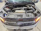 2025 Ford F150 XLT