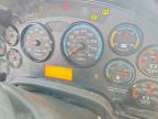 2023 Ic Bus PB105 School Bus