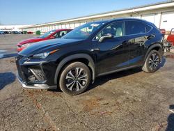 2021 Lexus Nx 300 f Sport for sale in Louisville, KY