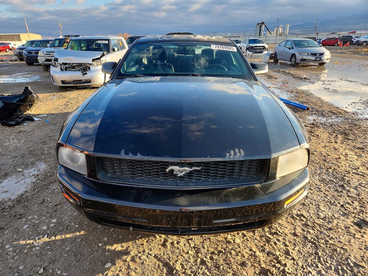 2007 Ford Mustang
