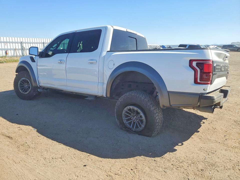 2019 Ford F150 Raptor
