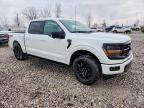 2024 Ford F150 XLT