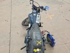 2014 Harley-Davidson Fxdb Dyna Street BOB