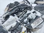 2019 Skidoo Renegade 900 ACE