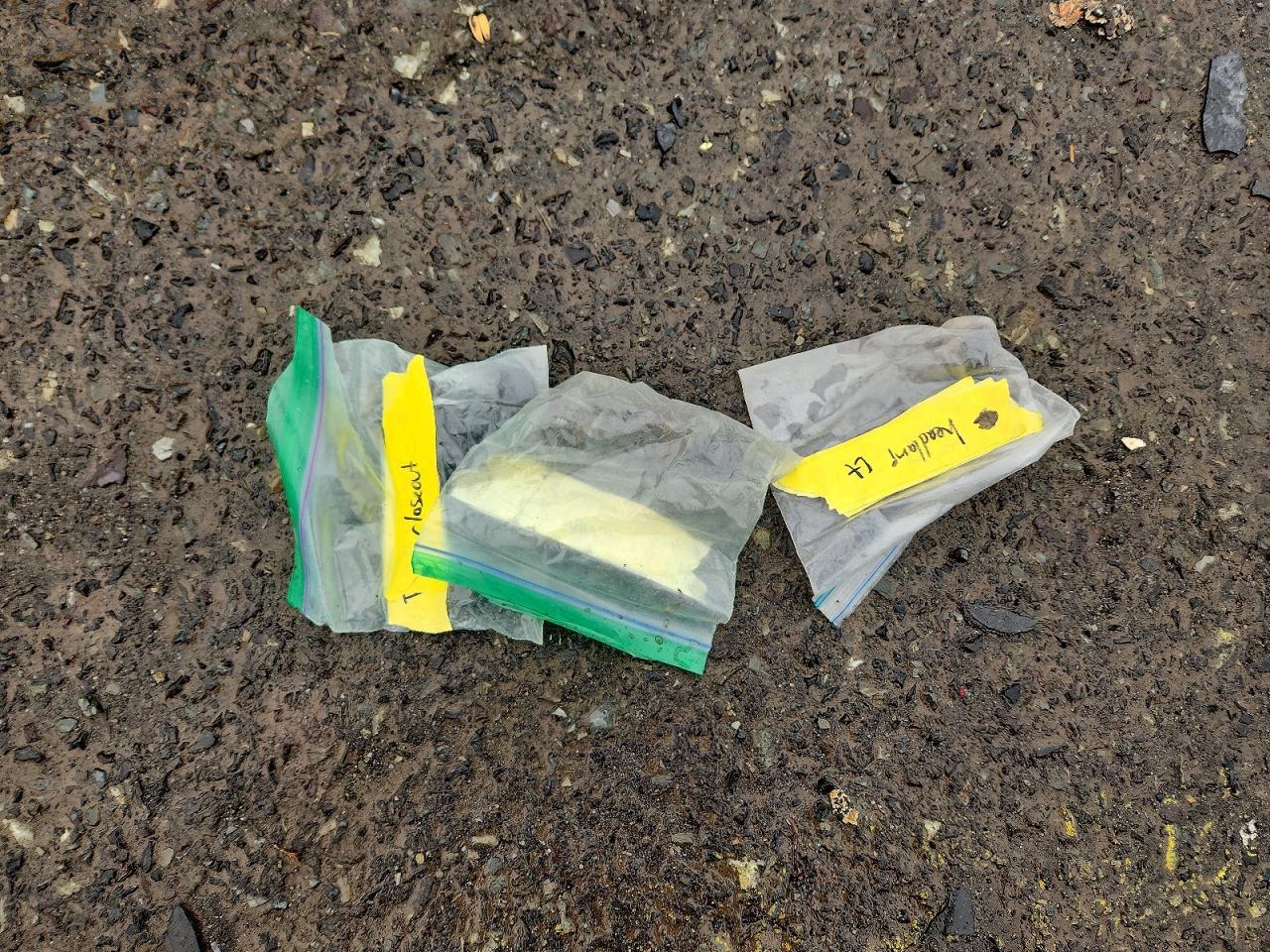 2012 Ford Expedition xlt