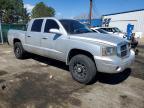 2006 Dodge Dakota Quattro