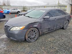 Salvage cars for sale from Copart Arlington, WA: 2007 Toyota Camry le