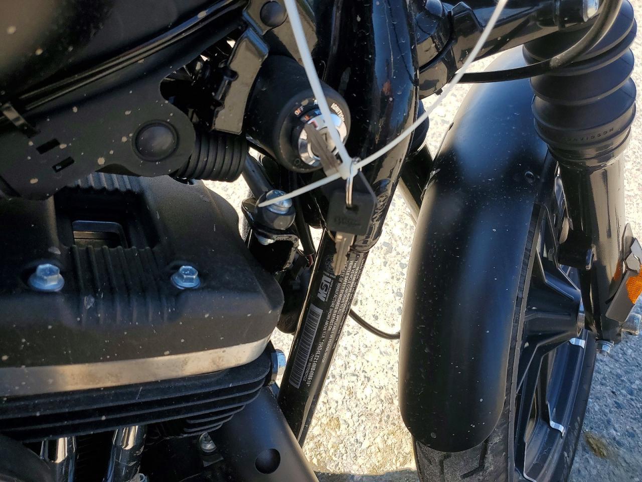 2022 Harley-Davidson XL883 N