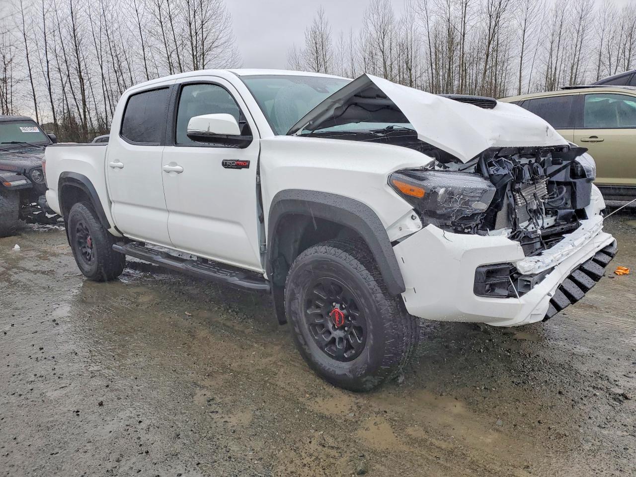 2019 Toyota Tacoma TRD PRO