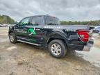 2025 Ford F150 XLT