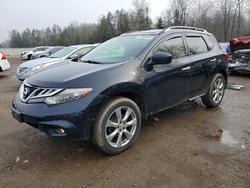 Nissan salvage cars for sale: 2013 Nissan Murano s