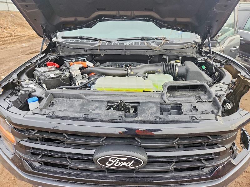 2025 Ford F150 XLT