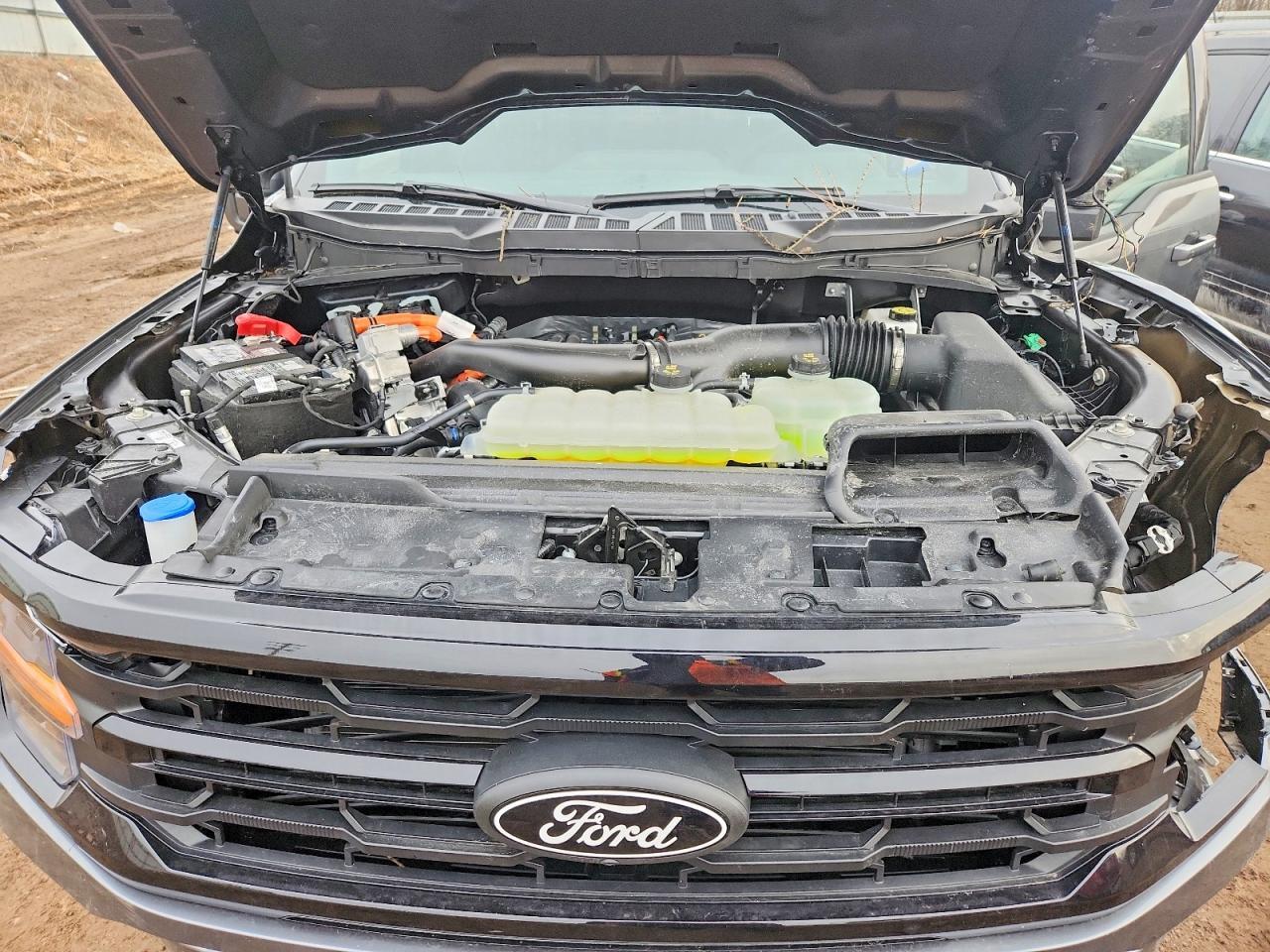 2025 Ford F150 XLT