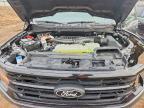 2025 Ford F150 XLT
