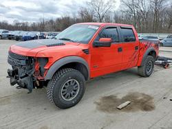 New arrivals for sale at auction: 2011 Ford F150 SVT Raptor