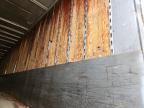 1999 Mond Trailers