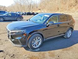 Honda salvage cars for sale: 2025 Honda Cr-v exl