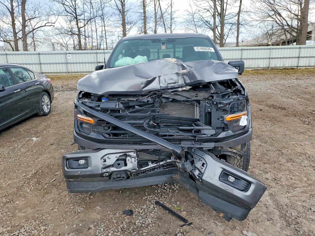 2024 Ford F150 XLT