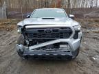2024 Toyota Tacoma TRD Sport HV