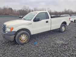 Salvage trucks for sale at Duryea, PA auction: 2011 Ford F150