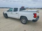 2023 Chev Colorado