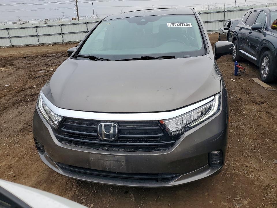 2021 Honda Odyssey exl