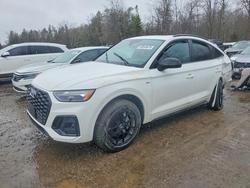 Audi q5 salvage cars for sale: 2023 Audi Q5