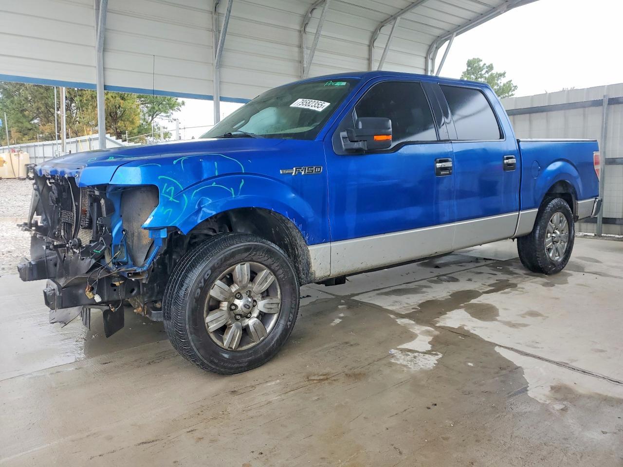 2010 Ford F150
