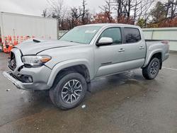 Salvage trucks for sale at Brookhaven, NY auction: 2023 Toyota Tacoma TRD Sport