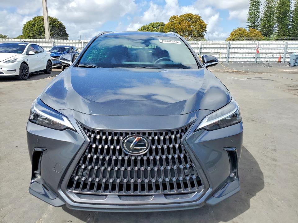 2025 Lexus Nx 350 Premium