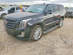 Cadillac Escalade Vehiculos salvage en venta: 2016 Cadillac Escalade Platinum