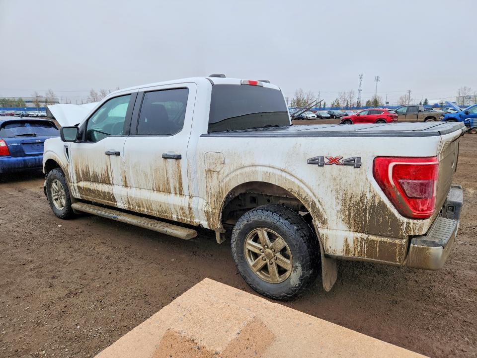 2023 Ford F150 Crew