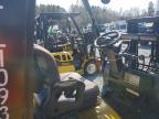 2016 Yale GLC050LXNDAV062 Forklift