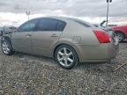 2004 Nissan Maxima 3.5 se