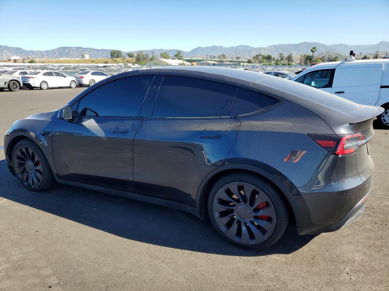 2024 Tesla Model y