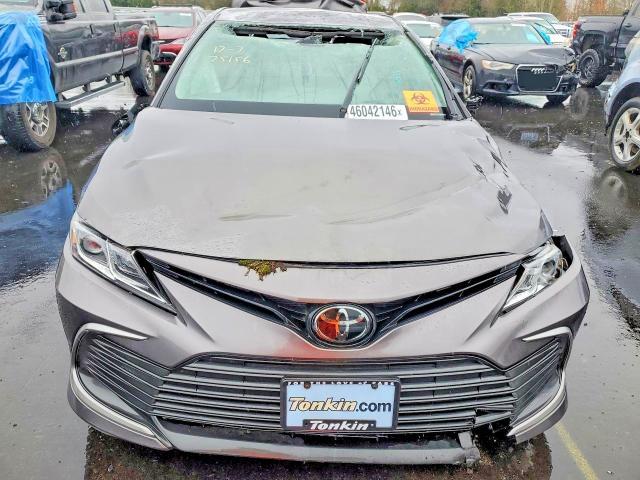 2023 Toyota Camry le