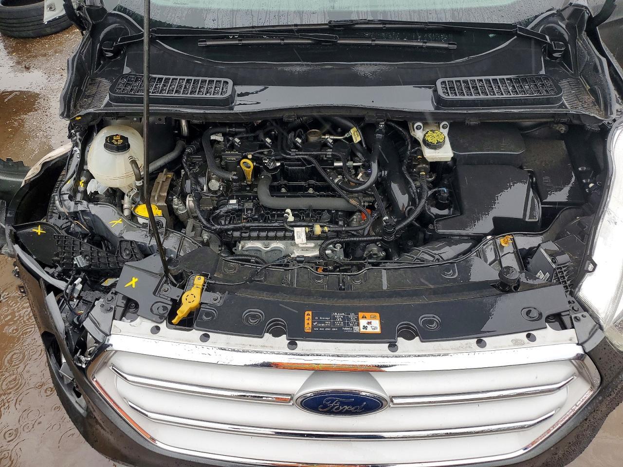 2019 Ford Escape sel