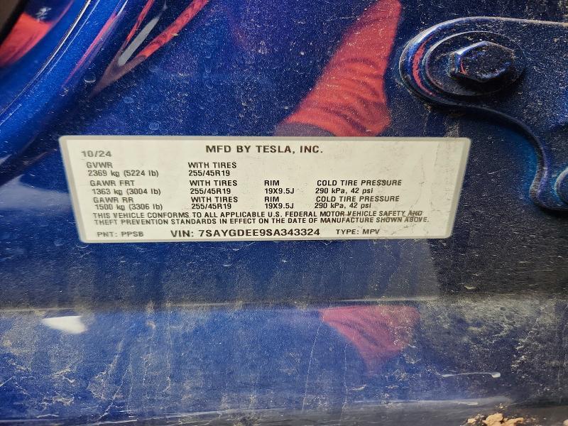2025 Tesla Model y