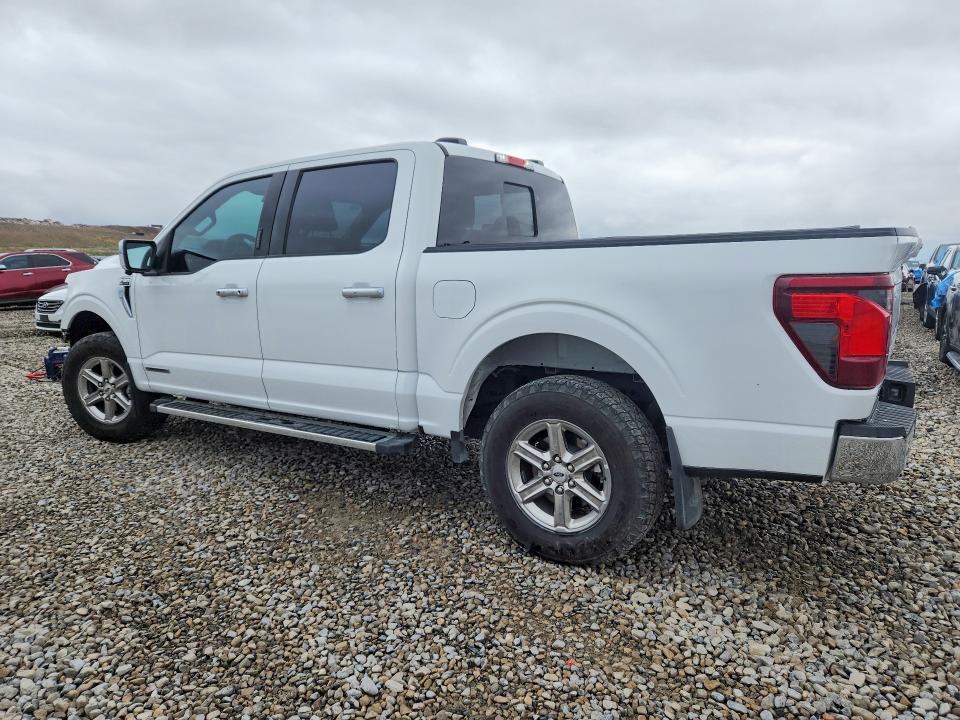 2024 Ford F150 xlt