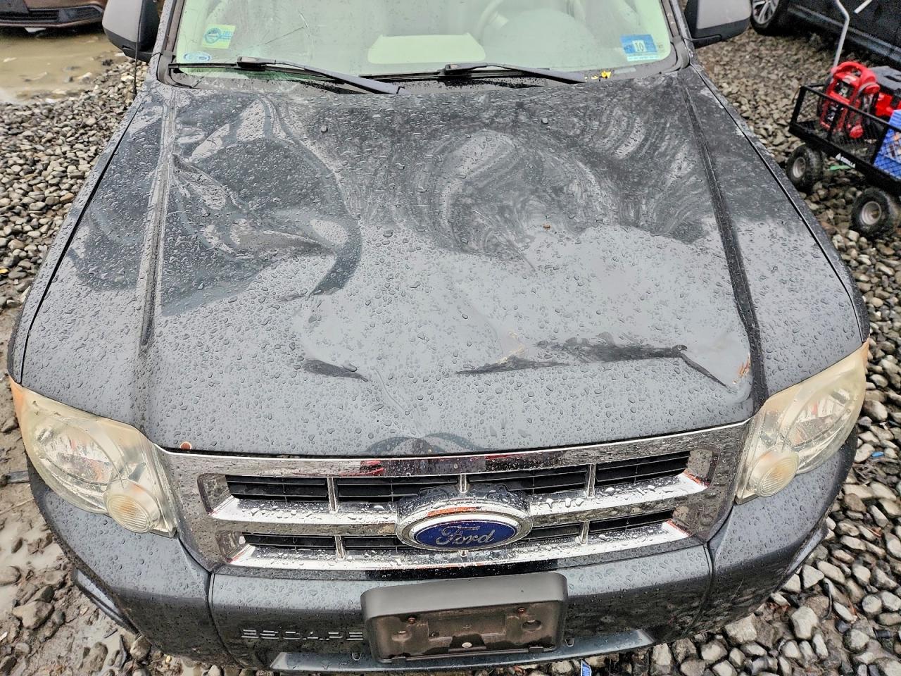 2008 Ford Escape xlt