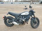 2020 Ducati Scrambler Desert Sled