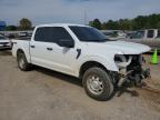 2024 Ford F150 XL