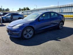 2023 Tesla Model 3 for sale in Martinez, CA