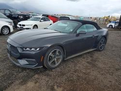 2024 Ford Mustang for sale in Kapolei, HI