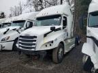 2019 Freigliner 2019 Freightliner ALL Models-Semi Truck