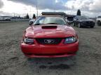 2001 Ford Mustang gt