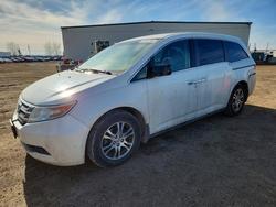 Honda Vehiculos salvage en venta: 2013 Honda Odyssey ex